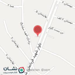 عکس اتو سرویس امیر