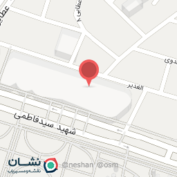 عکس کیف و کفش بهزاد