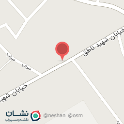 عکس کیف و کفش کاظمی