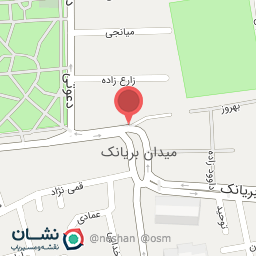 عکس دکتر سلمه ابراهیمی