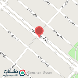 عکس کیف و کفش نازگل