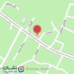 عکس الکتریکی رضا