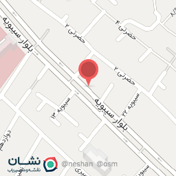 عکس دکتر کباب پاچینیش