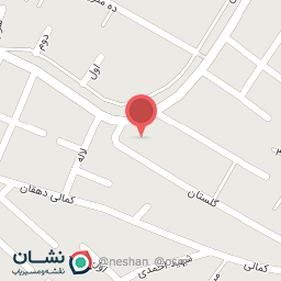 عکس دزدگیر جواد