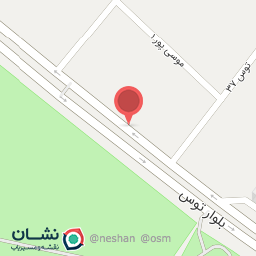 عکس توس دیزل مددی