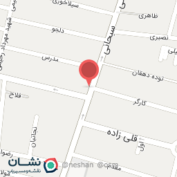 عکس فرش دلیجان