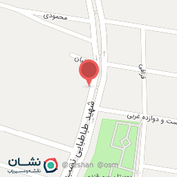 عکس الماس چوب مسعود