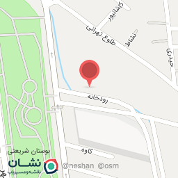 عکس رادیولوژی فک و صورت نورا پرتو