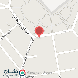 عکس پیتزا ساندویچ آتا