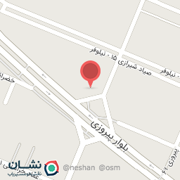 عکس فروشگاه بادکنک رنگی