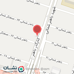 عکس مرغ و پاچینی سرزمین مرغ