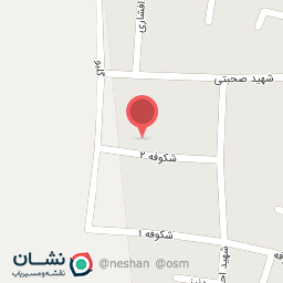 عکس سفالینه پاشایی