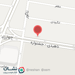 عکس سبزی خرد کنی دوم