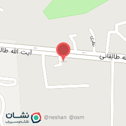 عکس عکس و فیلم لادنی