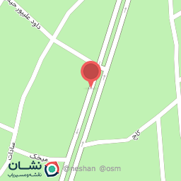 عکس کفش پویا
