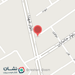 عکس کپی پرینت خانم بازیار