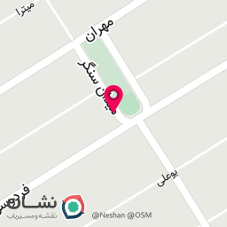 عکس پوشاک سایز بزرگ زیتون