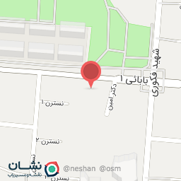 عکس اذر مرغ ناصری