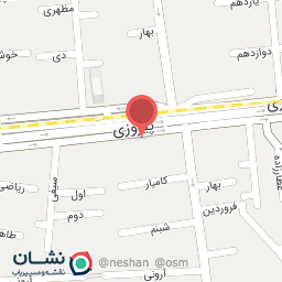 عکس تشک رویا نمایندگی شرق