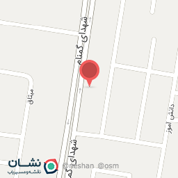 عکس مشاور املاک علی