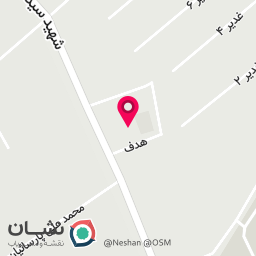 عکس کیف و کفش مهدیه