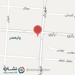 عکس نوین چرم 