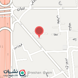 عکس فست فود ایرانی