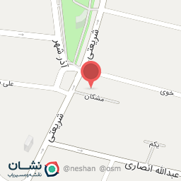 عکس دلفین پرنده