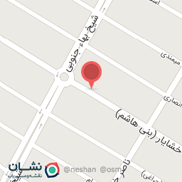 عکس بین شیخ بها و ناصر خسرو