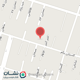 عکس کیف وکفش پاناز