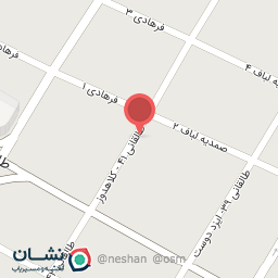 عکس فست فود ویشکا