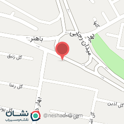 عکس آجیل و خشکبار احمدی