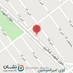 عکس برق ملل