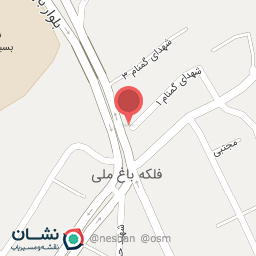 عکس تعویض روغنی میلاد 