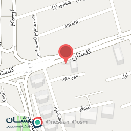 عکس خودپرداز سپه