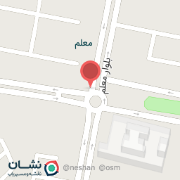 عکس فست فود و برگر