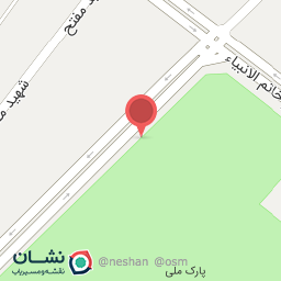 عکس فلافلی عمو رحمت