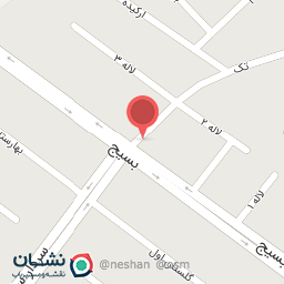 عکس فروشگاه دلفان