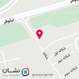 عکس باشگاه ورزشی آذرتکین، شعبه لاله