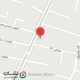 عکس سالیذ مرغ A+