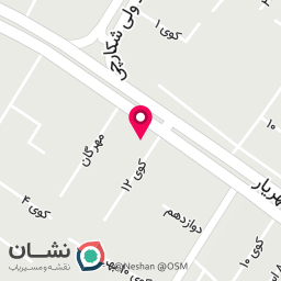 عکس رنگ و ابزار شاهین