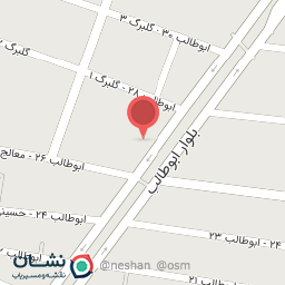 عکس مکانیکی محمد و موسی