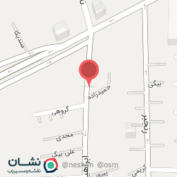 عکس فروشگاه اتو آپشن ۲۰۶