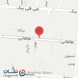 عکس ریموت و دزدگیر شکیب