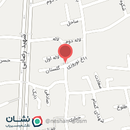 عکس زغال فروشی بابک