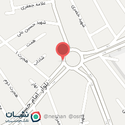 عکس پیتزا صدف