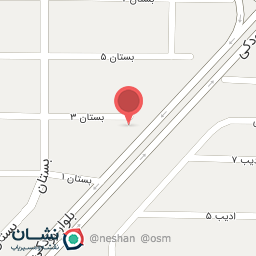 عکس فیزیوتراپی توانا