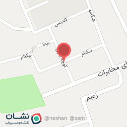 عکس سالار علیزاده