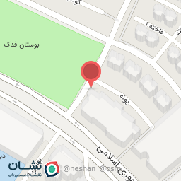 عکس پیتزا باران