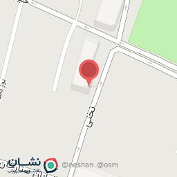 عکس کفش اسپورت شکوری